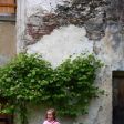 IMG_6689_800x1200.JPG